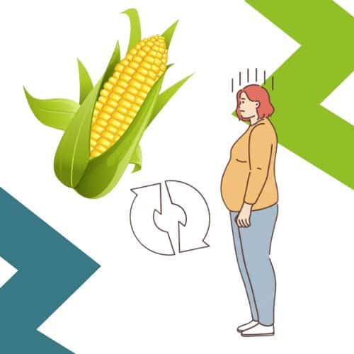 Does Corn Make You Fat