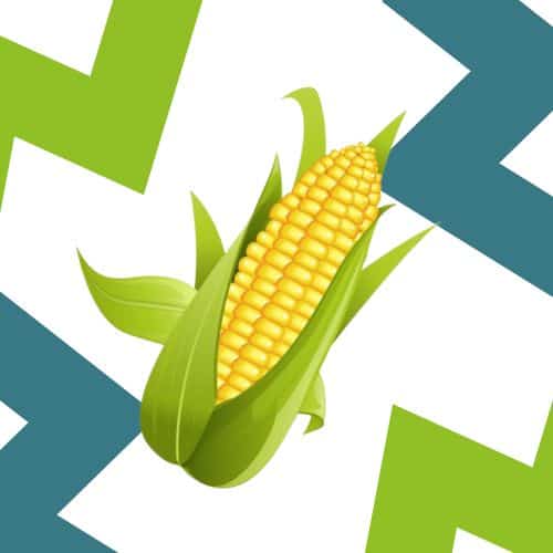 corn